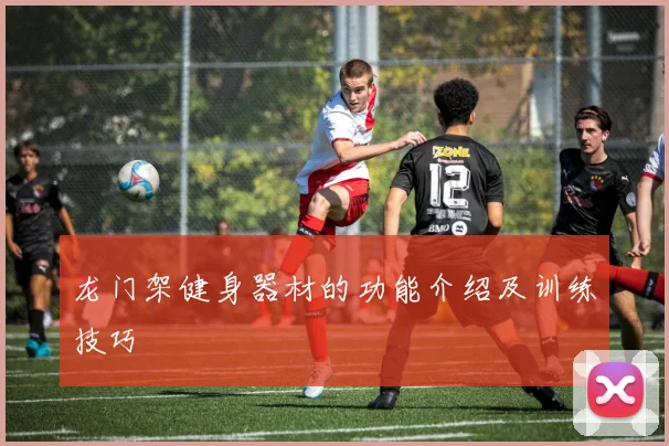 龙门架健身器材的功能介绍及训练技巧