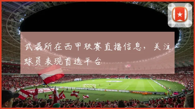武磊所在西甲联赛直播信息,关注球员表现首选平台