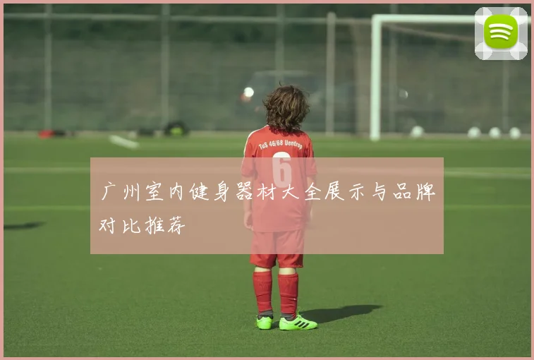 广州室内健身器材大全展示与品牌对比推荐