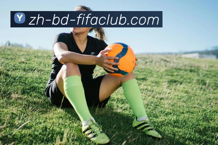 世界杯直播平台生态图