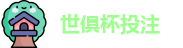 2025世界俱乐部杯